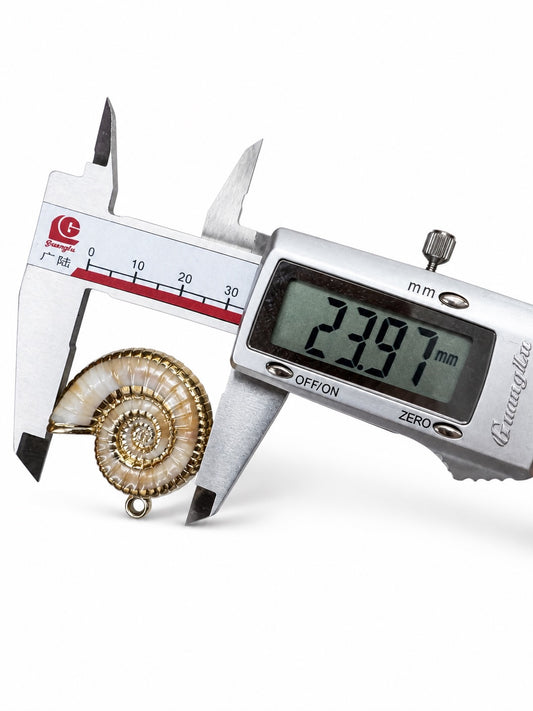Premium Shell  Quality Plastic Look shell  for Imitation jewellery |